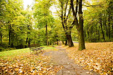 Similar image 8396261