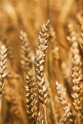 Similar image 8396265