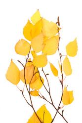 Similar image 8396289