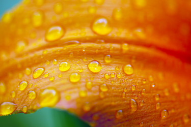 Similar image 8396299