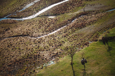 Similar image 8396341