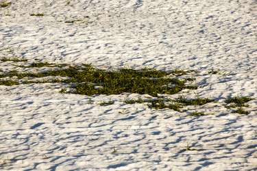 Similar image 8396553