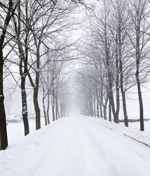 Similar image 8396647