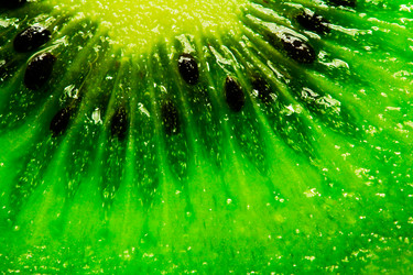 Similar image 8396649