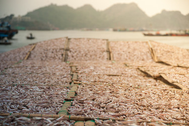 Similar image 8396836