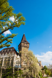 Similar image 8396842