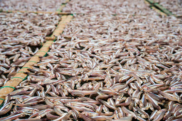 Similar image 8396906