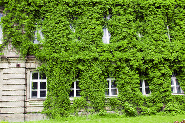 Similar image 8396910