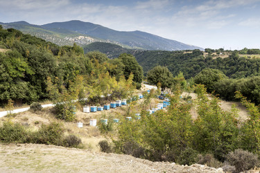 Similar image 8397178