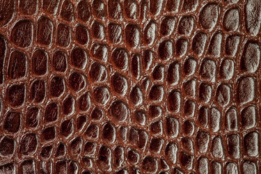 Similar image 8397300