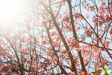 Similar image 8397351