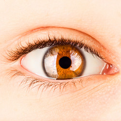 Similar image 8397365