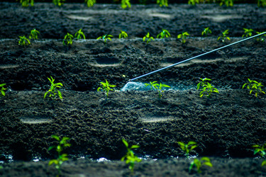 Similar image 8397392