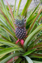 Similar image 8397563