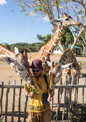 Similar image 8397598