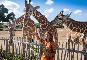 Similar image 8397599