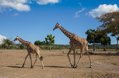 Similar image 8397600