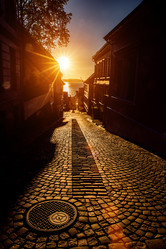 Similar image 8397729