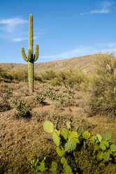 Similar image 8398479