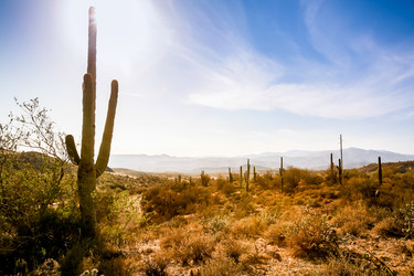 Similar image 8398480