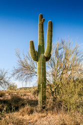 Similar image 8398491