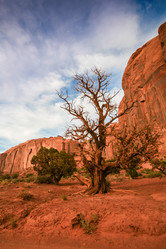 Similar image 8398558