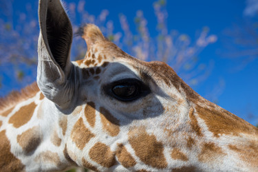 Similar image 8400325