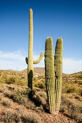 Similar image 8400328