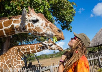 Similar image 8400507