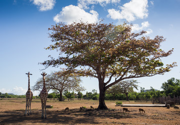 Similar image 8400513