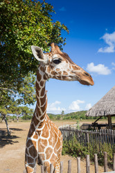 Similar image 8400514