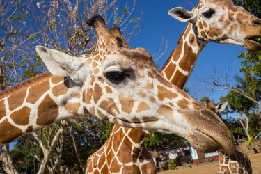 Similar image 8400521