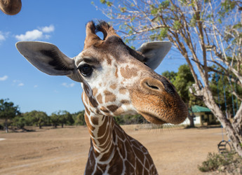 Similar image 8400522