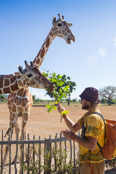 Similar image 8400523