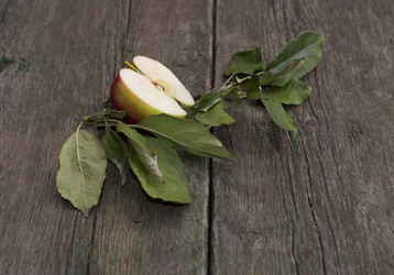 Similar image 8400870