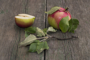 Similar image 8400871