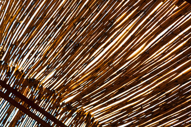 Similar image 8400879