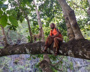 Similar image 8400892