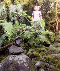 Similar image 8400898