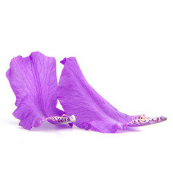 Similar image 8400981