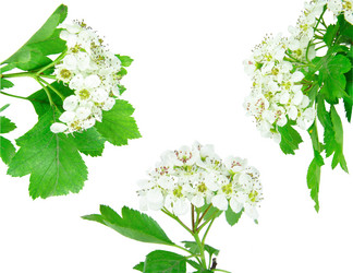 Similar image 8400982