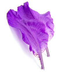 Similar image 8400983