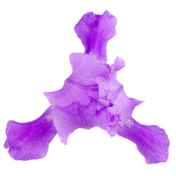 Similar image 8400984