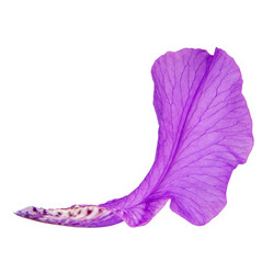 Similar image 8400985