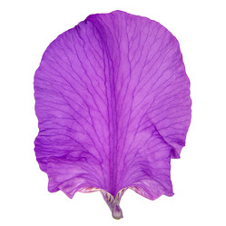 Similar image 8400986