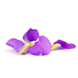 Similar image 8400987