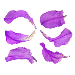 Similar image 8400989