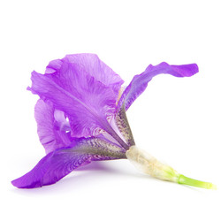 Similar image 8400990