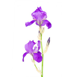 Similar image 8400991