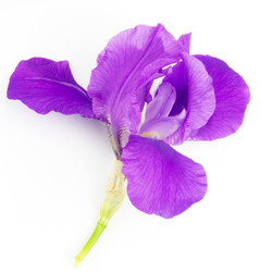 Similar image 8400996